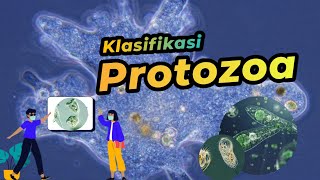 Klasifikasi Protozoa  Protista Mirip Hewan  Dunia Biologi [upl. by Yevrah]