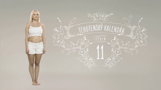 Tehotenský kalendár 11 týždeň [upl. by Aniahs698]