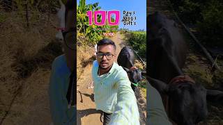 11100 Hamare Galiyon mai kalesh Ho Jata Hai dailyminivlog shorts villagelife gow minivlog [upl. by Llenaj]