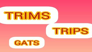 what is TRIMsTRIPsGATS explanation simple Hindi WTO agreement bcom 5sem bbamcomimportant [upl. by Sehguh]