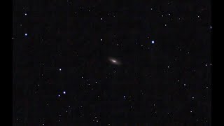 Live observation of NGC5005 Galaxy Caldwell 29 with a Stellina smart telescope 2662024 [upl. by Irtimd871]