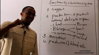 FORM 3  BIOLOGY  CHAPTER HUMAN PHYSIOLOGY  LECTURER ALI DAACAD [upl. by Akina]