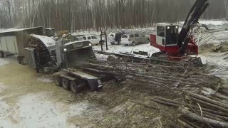 Bandit 3590XL 1200 HP Whole Tree Chipper Nelson Forest Products Testimonial [upl. by Yrod]