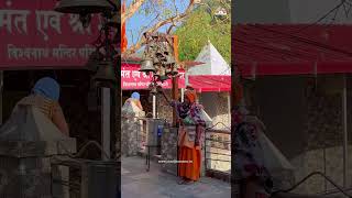 Seek divine blessings at the sacred Kashi Vishwanath Temple in Uttarkashi 🙏 [upl. by Ayatahs]