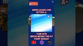 Cubs Minor League Report Card Hitting Grade amp Top Prospects Revealed ⚾ bricksbehindtheivy cubs [upl. by Atteuqihc646]