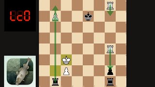 Stockfish vs Lc0 Best Match  Collection 317 [upl. by Persson999]