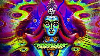 February 2023 Progressive Psytrance DJ Mix [upl. by Soirtimid]