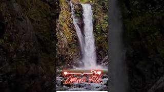 Gotaishi Falls 五太子の滝 in Fukui Japan shortsviral shortsyoutube shortsvideo [upl. by Enywad]