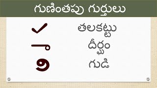 Guninthalu  Guninthapu Gurthulu  Learn Guninthalu in Telugu  Telugu Guninthalu  Learn Telugu [upl. by Anayrb]