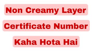 non creamy layer certificate number kaha hota hai  non creamy layer certificate number maharashtra [upl. by Marelda911]