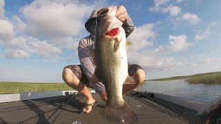 Lake Okeechobee July 2024 Two Giant Bass [upl. by Siri845]