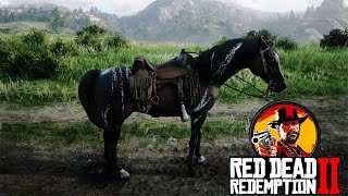 How to Get Legendary Warped Brindle Arabian Horse  Red Dead Redemption 2 [upl. by Atiuqes200]