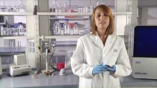 Food Safety Testing Solutions by QIAGEN Part 2 [upl. by Hctub]