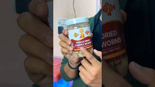 Boltz freeze dried tubifex worms 🪱unboxing amp review boltz dailyminivlog boltzfishfood [upl. by Bronnie]