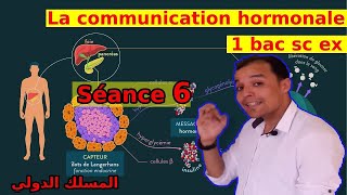 1bac sc ex communication hormonale régulation de la glycémie Séance 6 [upl. by Gilford]