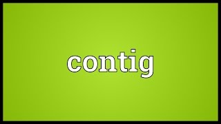 Contig Meaning [upl. by Neemsaj]