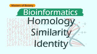 Homology Similarity and Identity  Bioinformatics [upl. by Mclaughlin]