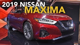 2019 Nissan Maxima First Look  2018 LA Auto Show [upl. by Aknahs]