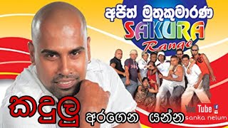 කදුලු අරගෙන යන්න kadulu aragena yanna  ajith muthukumarana [upl. by Ynaffet]