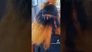 Dread locks hairspring hairstyler music song cover lyrics stylist stylingtools hairstyle [upl. by Affra]