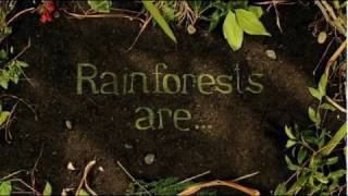 Rainforest Action Network Presents Who Cares About the Rainforests [upl. by Llertnahs]