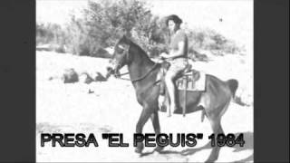 CABALLO ALAZAN LUCERO LOS RIELEROS DEL NORTE OJINAGA 84 [upl. by Nalyk]