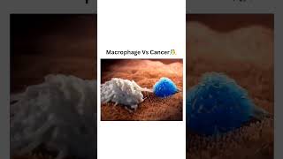 Macrophages vs cancer Human Body Quiz humananatomy health humanbodyfacts quiz medicine body [upl. by Madea449]