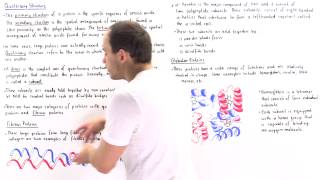 Quaternary Structure of Proteins [upl. by Highams]