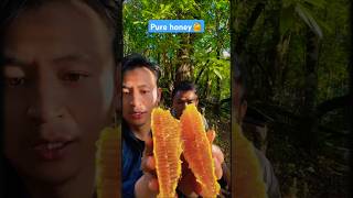 Extreme Honeycomb harvesting 🍯Harvesting honey from beehive 🐝 EP113 trending satisfying shorts [upl. by Atirres]