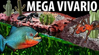 🐟 El Megavivario 6 meses despues 🐟 COMO HAN CRECIDO LAS PIRAÑAS Y LAS HORMIGAS [upl. by Eyssej]