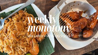 Weekly Monotony Oct 713 2024 Vlog [upl. by Ithsav]