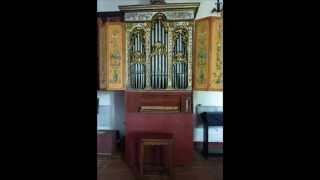 Orgue napolitain de Francis Chapelet [upl. by Ayatnwahs670]