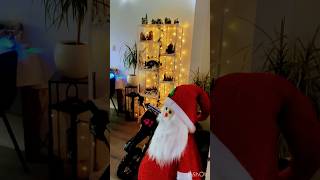 Christmas time Eerst nog Sinterklaas vieren trending shortfeed kerst viralshort kerstmis fyp [upl. by Naes203]