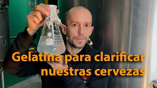 Cómo clarificar una cerveza con gelatina para lograr un efecto similar al filtrado [upl. by Felten]