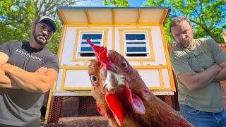 We Build an Eggcellent Chicken Coop [upl. by Osher]