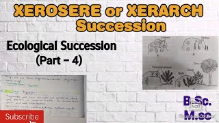 Ecological Succession Part4 Xerosere or Xerarch Succession Succession in Terrestrial Ecosystem [upl. by Haggi]