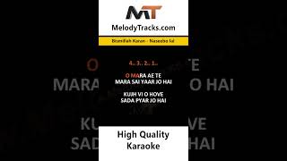 Bismillah Karan Karaoke Naseebo lal naseebolaal naseebolaalwhatsapstatus pakistanikaraoke [upl. by Ztirf]