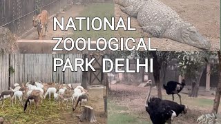 Finally in National Zoological Park Delhinortheastindia [upl. by Nathanil]