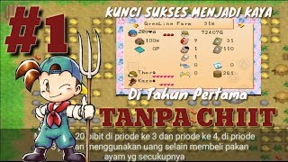 Tips Menjadi Kaya di Harvest Moon Back To Nature Bahasa Indonesia  Spring 1 [upl. by Papert921]