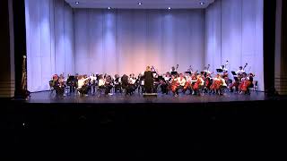 Middle School All County Orchestra  2023 [upl. by Reiniar]