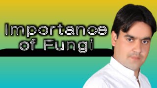 Importance of fungi  class 11  Dr Mushtaq lectures [upl. by Notsyrb]