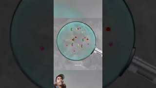 Very housfule genus experiment science amazingfacts scienceexperiment sciencefacts new short [upl. by Wolliw292]