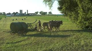 Loading Bales of Hay on Wagon [upl. by Eisle51]