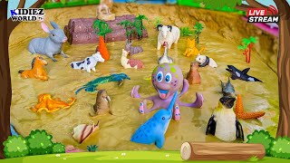 Learn Sea Animals for Kids amp Farm Animals Stuck in Muddy Puddles  Kids Learning Stream [upl. by Nahtanaj]