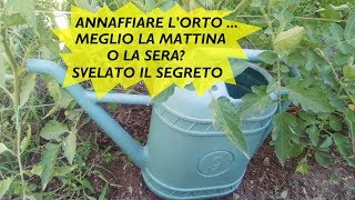 QUANDO ANNAFFIARE LORTO MEGLIO LA MATTINA O SERA SVELATO IL SEGRETO [upl. by Nnairak649]