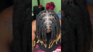 Comment Prendre Soin et Faire Pousser Ses Locs 44 [upl. by Sera]