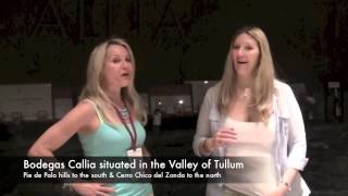 Bodegas Callia in San JuanArgentina The Wine Ladies TV March 2013 [upl. by Roxie]