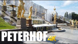 Peterhof Park Sankt Petersburg walking tour 4k 60fps [upl. by Carson]