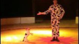 MYShows Dogact  Yvo Antoni amp PrimaDonna [upl. by Agate911]