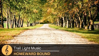 Homeward Bound  Cinematic Orchestral Composition [upl. by Annawahs]